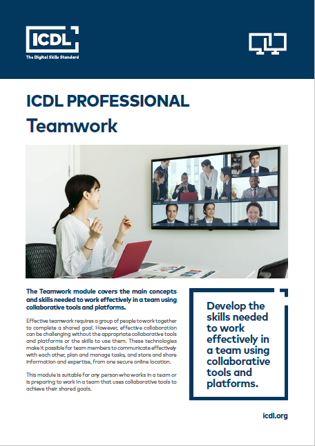 Teamwork (Travail collaboratif)